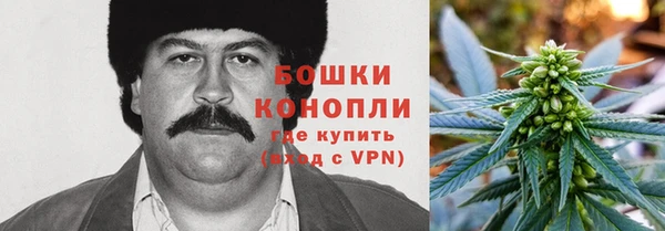 ECSTASY Алзамай