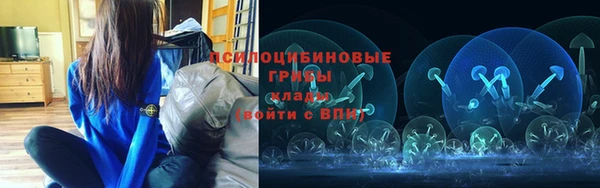спиды Алексин