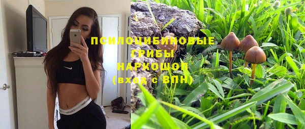 амф Алексеевка