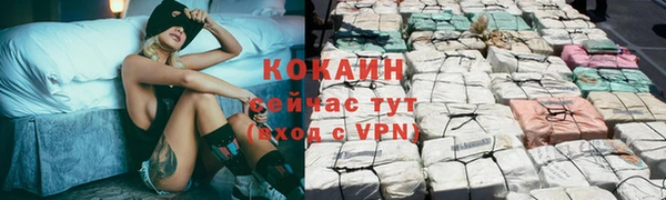 ECSTASY Алзамай