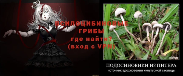 спиды Алексин